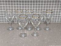 Front view of all seven wine glasses lined up