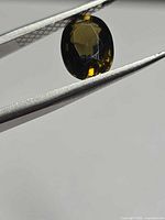 Oval faceted multicolored tourmaline held by tweezers