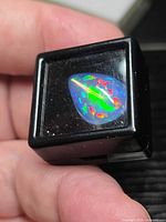 Pear-shaped opal cabochon in black display box showing vivid play-of-color