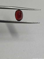 Garnet held in tweezers showing face-up view