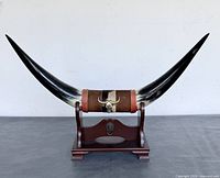 Full view of steer horns mounted on wooden stand