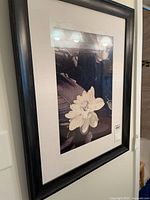 Full view of framed botanical print hanging on wall