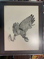 Front view of framed hawk print