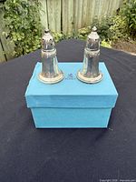 Pair of sterling silver shakers on Birks blue box