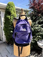 Front view of purple and black The North Face backpack hanging, logo visible