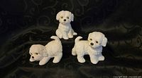 Front view of all three white puppy figurines