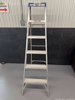 Front view of full ladder showing 6 steps, blue top cap