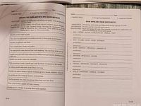 Interior pages showing activities on similarities/differences