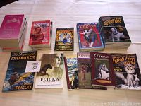 Photo showing a stack of children's books including Princess Diaries, Sabrina, Saddle Club, Oliver Twist, and other titles