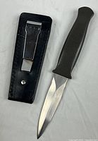Dagger and sheath side by side showing blade, handle, sheath front with metal clip