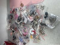 overview of entire jewelry lot in plastic bags