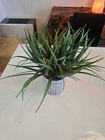 Artificial plant full view on tabletop