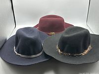 Group shot of all three wool hats