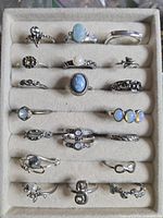 Full tray showing 19 silver-tone rings