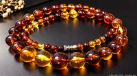 Full view of graduated amber bead necklace coiled to show color variation and clasp