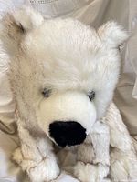 Front close-up of teddy bear head and torso