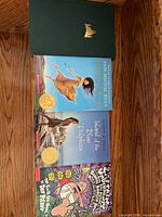 Four books laid out: green hardcover, Esperanza Rising, Island of the Blue Dolphins, Captain Underpants