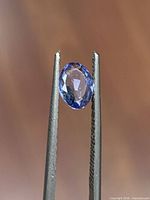 Oval faceted tanzanite held by tweezers showing color and cut