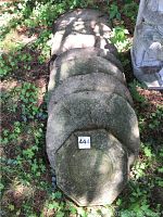 Overhead view of eight heavy stone sand dollar garden ornaments stacked on ground outdoors among greenery and moss.