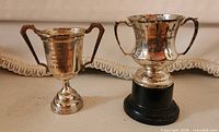Front view of both silver-plated trophies showing size and handles