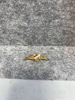 Front view showing gold wings and enamel CANADA shield