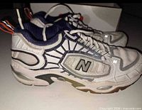 Lateral view of both sneakers showing branding, design and condition