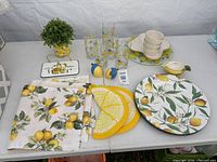 Full lot view showing chargers, placemats, tumblers, shakers, measuring cups, juicer, sign, potted plant