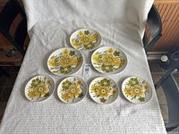 All seven plates arranged on cloth to show pattern and quantity