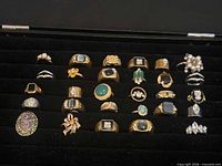 Tray view showing all twenty-five assorted rings