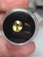 Golden yellow oval scapolite in clear round gem box, close-up front view