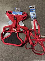 Harness and leash side by side showing color, design, and packaging