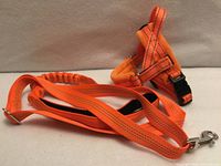 Leash and harness together showing color and material