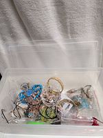 overall view of clear plastic bin with assorted jewelry