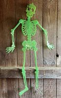 Full front view of green plastic skeleton hanging against wood wall