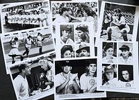 Group shot of all eight photographs fanned out