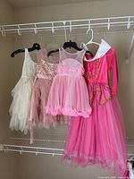 Four dresses hanging: ivory lace, blush pink sequin, bright pink tulle, fuchsia princess gown
