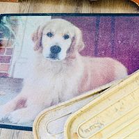 Dog-image mat partially overlapped by beige boot tray