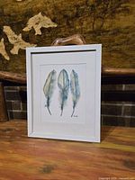 Front of framed feather print on table