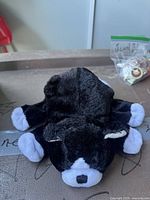 Top view of small black and white plush cat