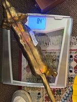 Brass dog on scale showing 8.4 lb weight