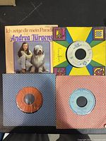 Front shot showing Andrea Jürgens single and three additional singles in patterned sleeves