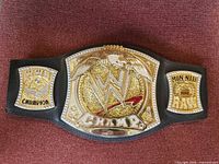 Front view of championship belt showing center and side plates