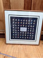 Full view of framed pin set showing layout, frame and mat