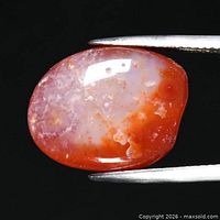 Front view of polished free-form orange agate cabochon held by tweezers