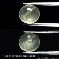 Oval cabochon cat's eye beryl held by tweezers under incandescent light