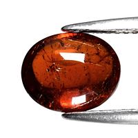 Oval cabochon spessartite garnet held by tweezers showing color and clarity
