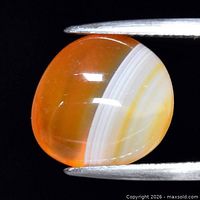 Front view of the polished white and orange chalcedony cabochon held by tweezers