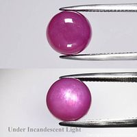 Semi-round reddish pink cabochon star sapphire held by tweezers, showing body color and surface.
