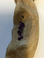 Six loose amethyst stones arranged on driftwood