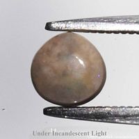 Free-form Andamooka Matrix opal held in tweezers under incandescent lighting showing play-of-color
